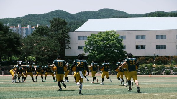 Australian wine and italian wine: a unique tasting experience